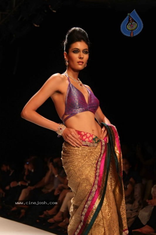 Celebs Walk the Ramp at IIJW 2011 Fashion Show Day 2 - 3 / 113 photos