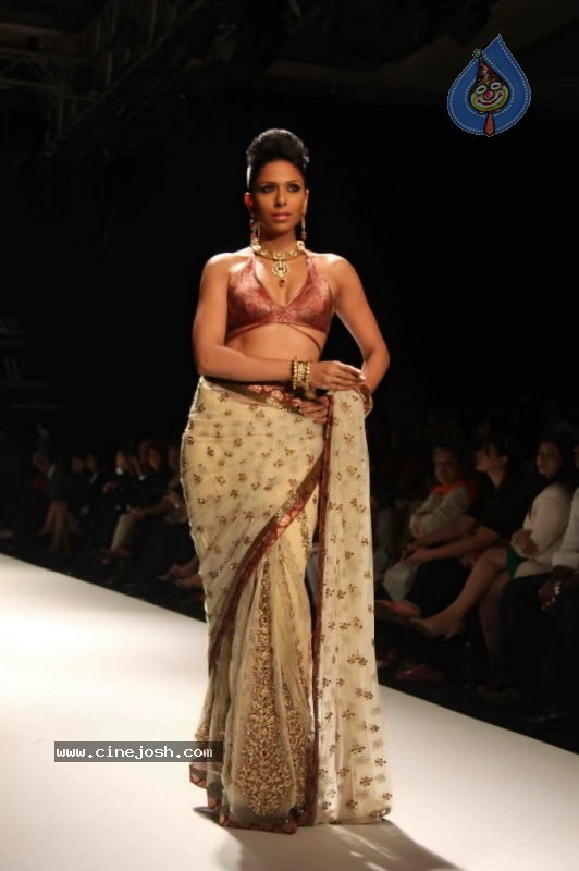 Celebs Walk the Ramp at IIJW 2011 Fashion Show Day 2 - 4 / 113 photos