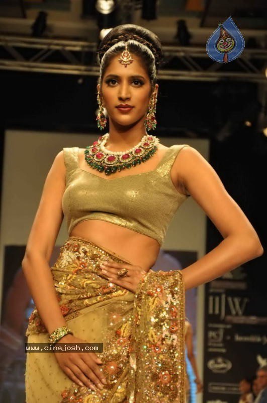Celebs Walk the Ramp at IIJW 2011 Fashion Show Day 2 - 7 / 113 photos