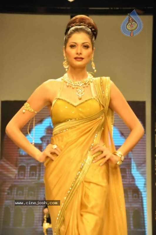 Celebs Walk the Ramp at IIJW 2011 Fashion Show Day 2 - 9 / 113 photos