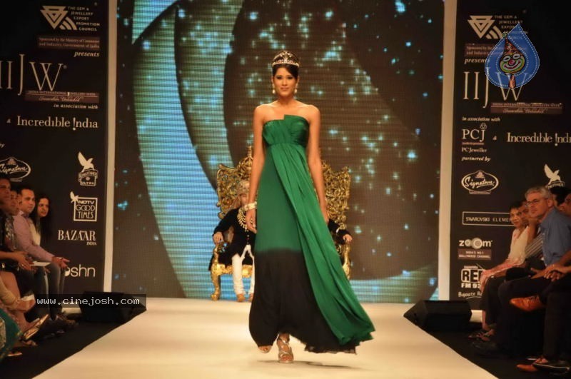 Celebs Walk the Ramp at IIJW 2011 Fashion Show Day 2 - 12 / 113 photos