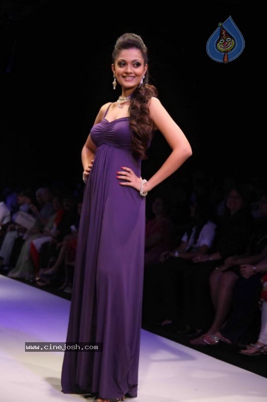 Celebs Walk the Ramp at IIJW 2011 Fashion Show Day 2 - 15 / 113 photos