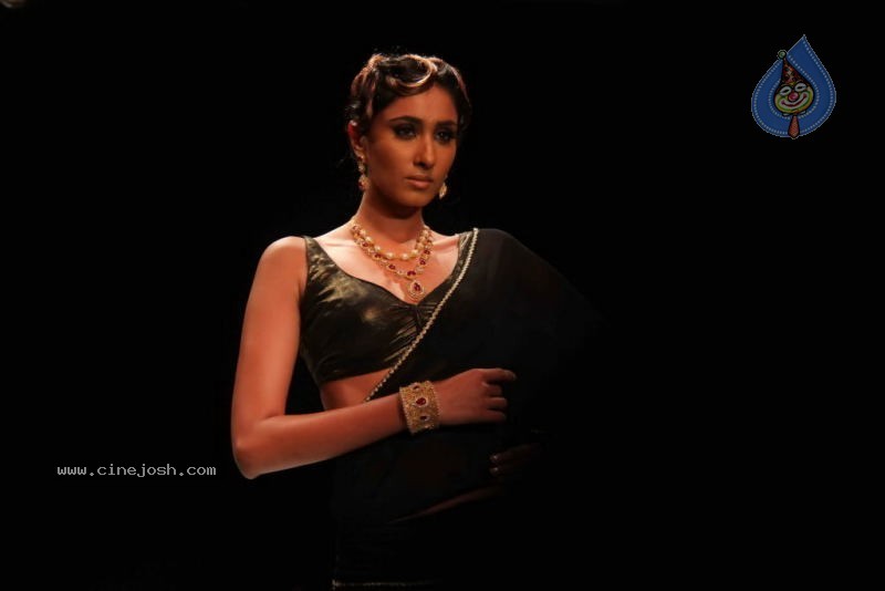 Celebs Walk the Ramp at IIJW 2011 Fashion Show Day 2 - 16 / 113 photos