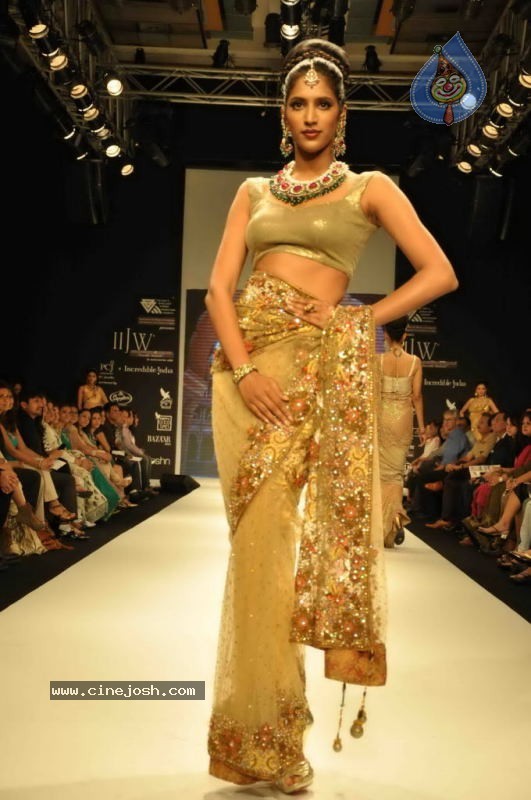 Celebs Walk the Ramp at IIJW 2011 Fashion Show Day 2 - 19 / 113 photos