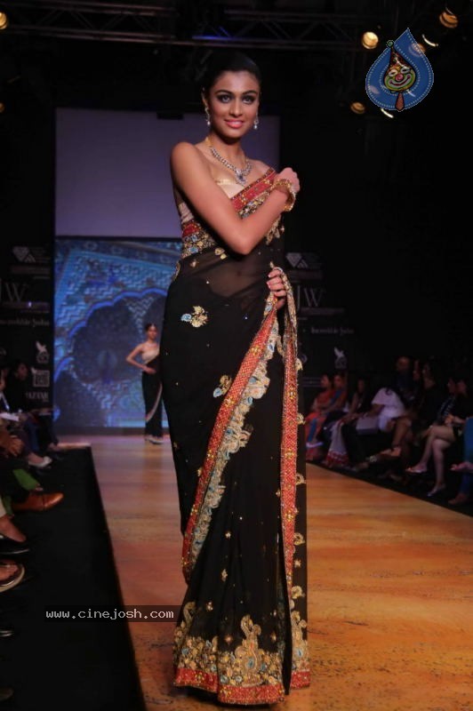 Celebs Walk the Ramp at IIJW 2011 Fashion Show Day 2 - 33 / 113 photos