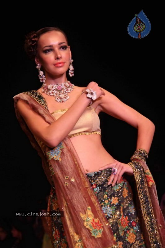 Celebs Walk the Ramp at IIJW 2011 Fashion Show Day 2 - 37 / 113 photos