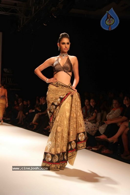 Celebs Walk the Ramp at IIJW 2011 Fashion Show Day 2 - 42 / 113 photos