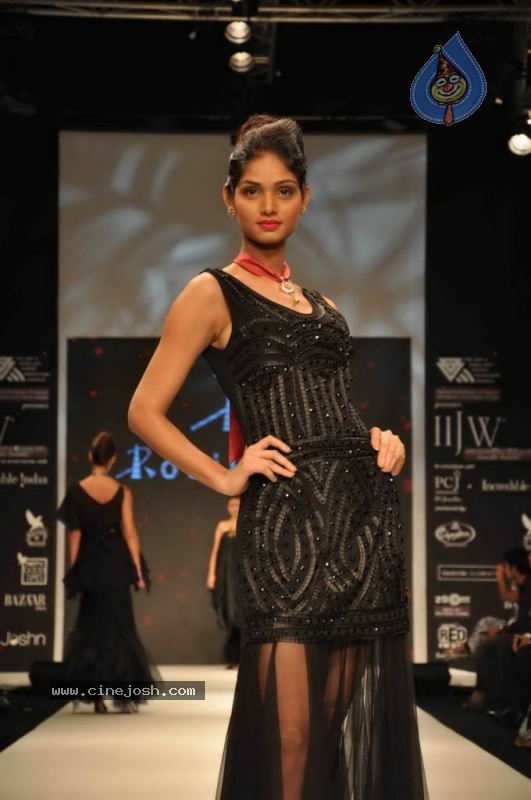 Celebs Walk the Ramp at IIJW 2011 Fashion Show Day 2 - 53 / 113 photos