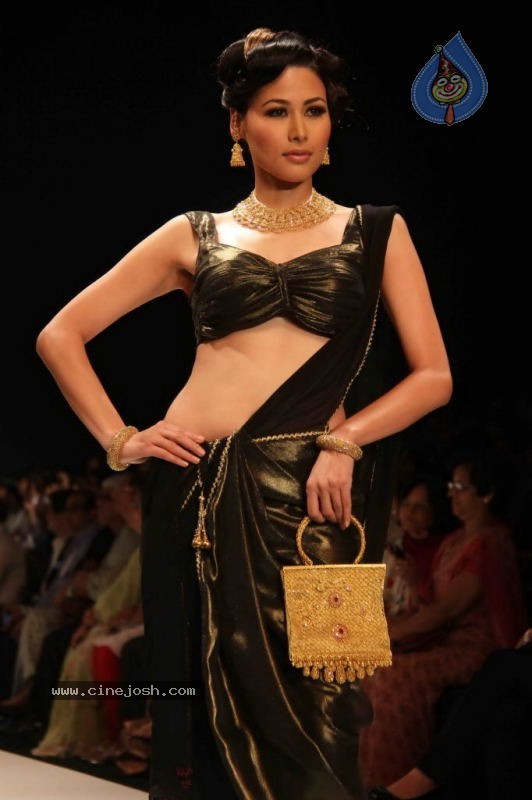 Celebs Walk the Ramp at IIJW 2011 Fashion Show Day 2 - 78 / 113 photos