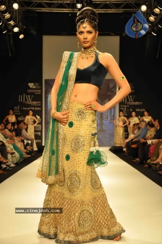 Celebs Walk the Ramp at IIJW 2011 Fashion Show Day 2 - 85 / 113 photos