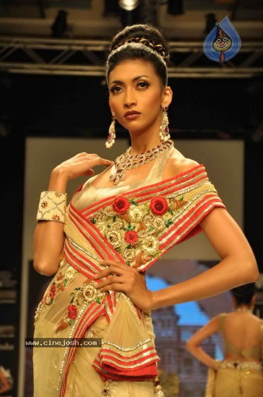 Celebs Walk the Ramp at IIJW 2011 Fashion Show Day 2 - 91 / 113 photos
