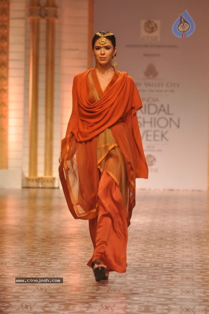 Celebs Walks the Ramp at AVIBW 2013 - 5 / 152 photos