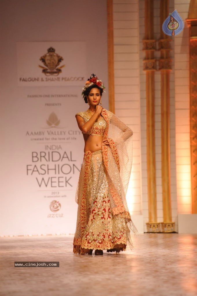 Celebs Walks the Ramp at AVIBW 2013 - 9 / 152 photos