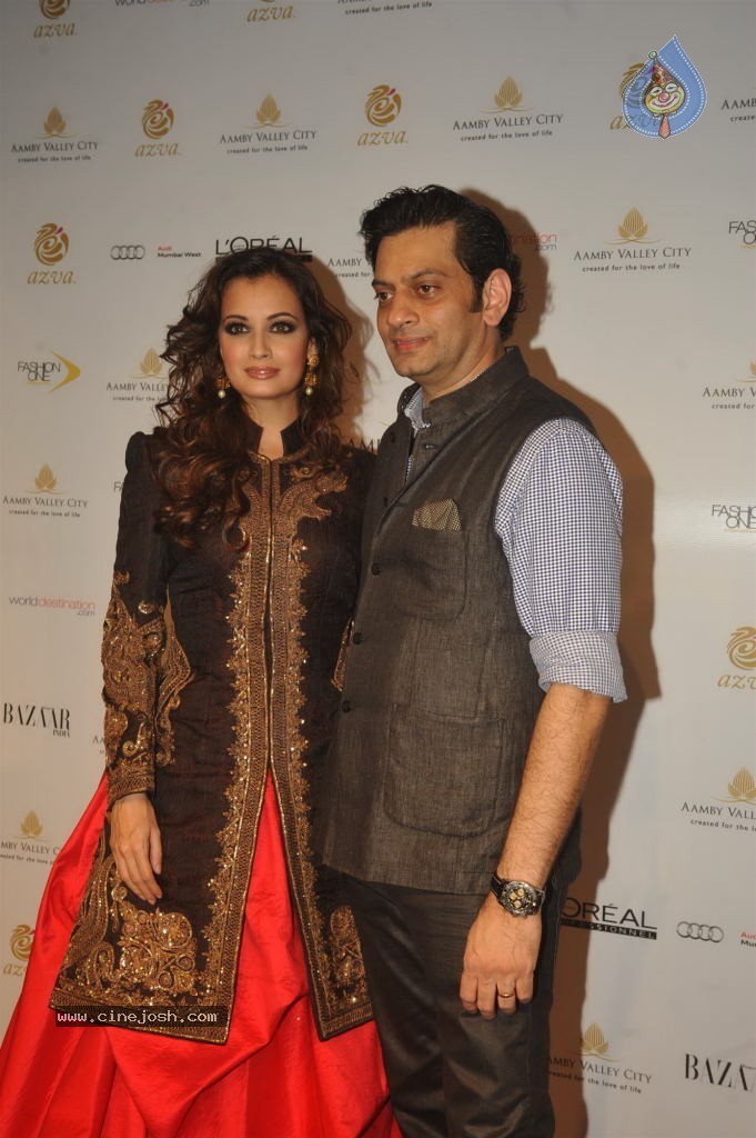 Celebs Walks the Ramp at AVIBW 2013 - 10 / 152 photos