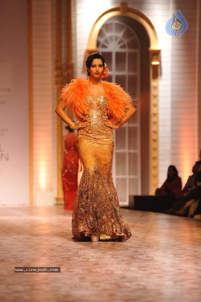 Celebs Walks the Ramp at AVIBW 2013 - 11 / 152 photos