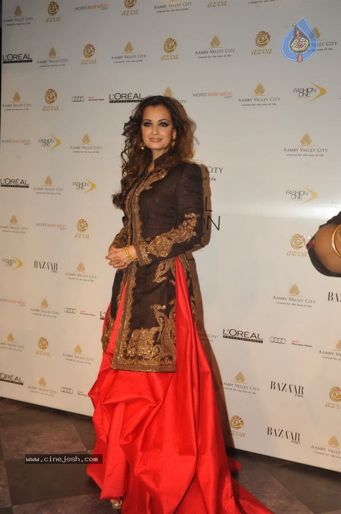 Celebs Walks the Ramp at AVIBW 2013 - 19 / 152 photos