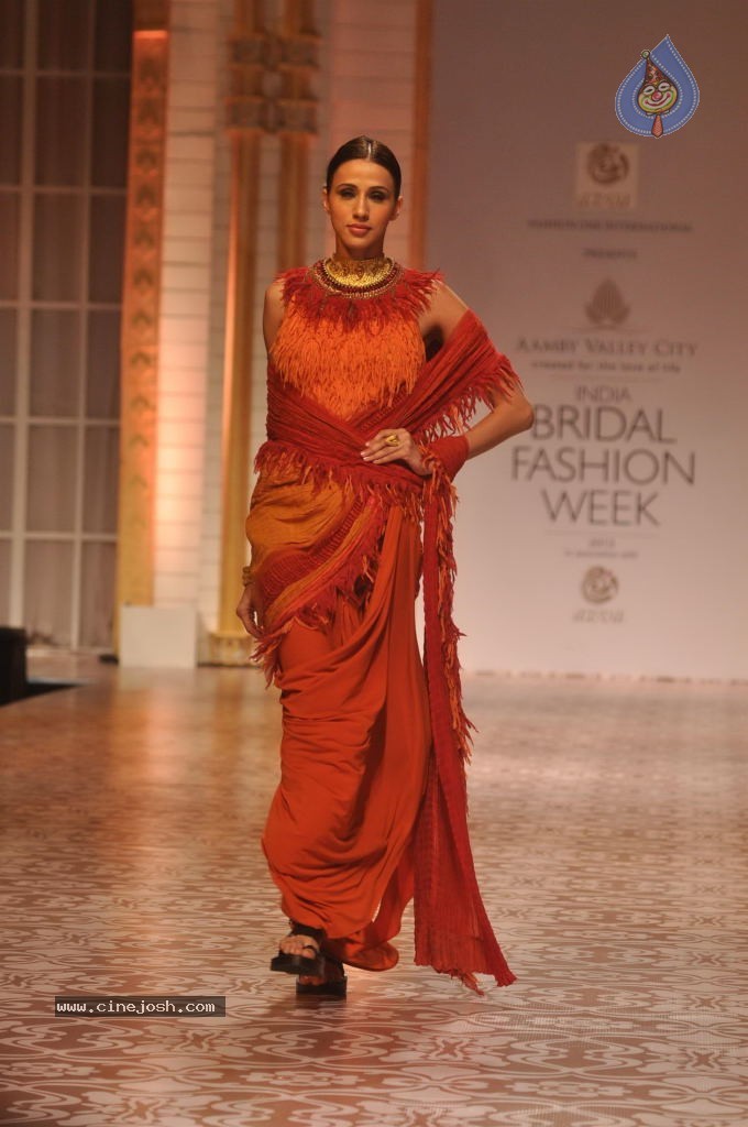 Celebs Walks the Ramp at AVIBW 2013 - 20 / 152 photos