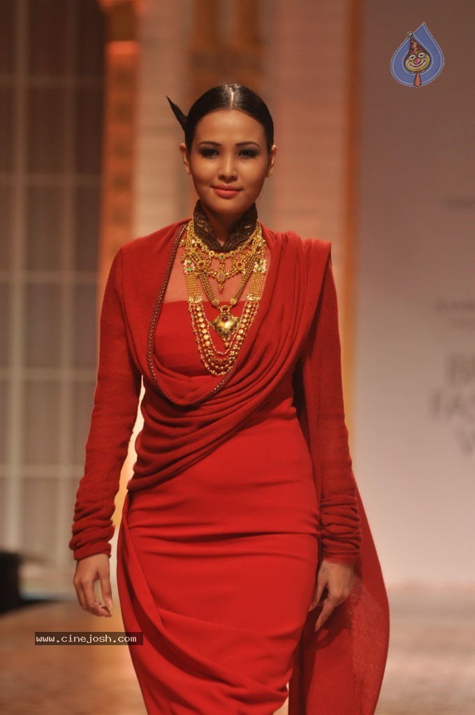 Celebs Walks the Ramp at AVIBW 2013 - 64 / 152 photos