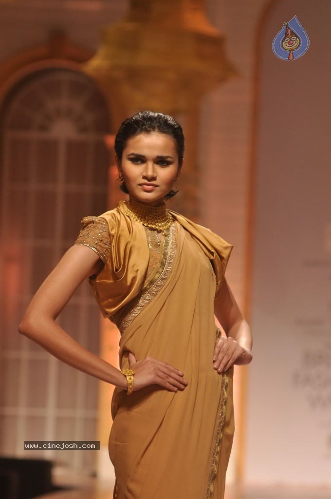 Celebs Walks the Ramp at AVIBW 2013 - 68 / 152 photos