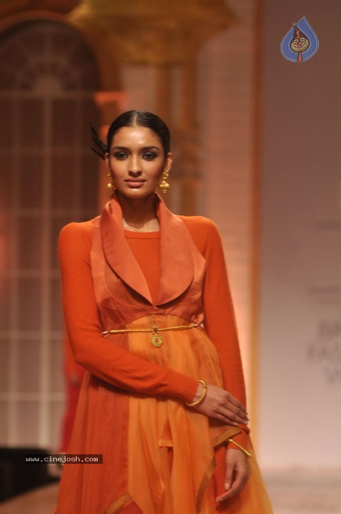 Celebs Walks the Ramp at AVIBW 2013 - 72 / 152 photos