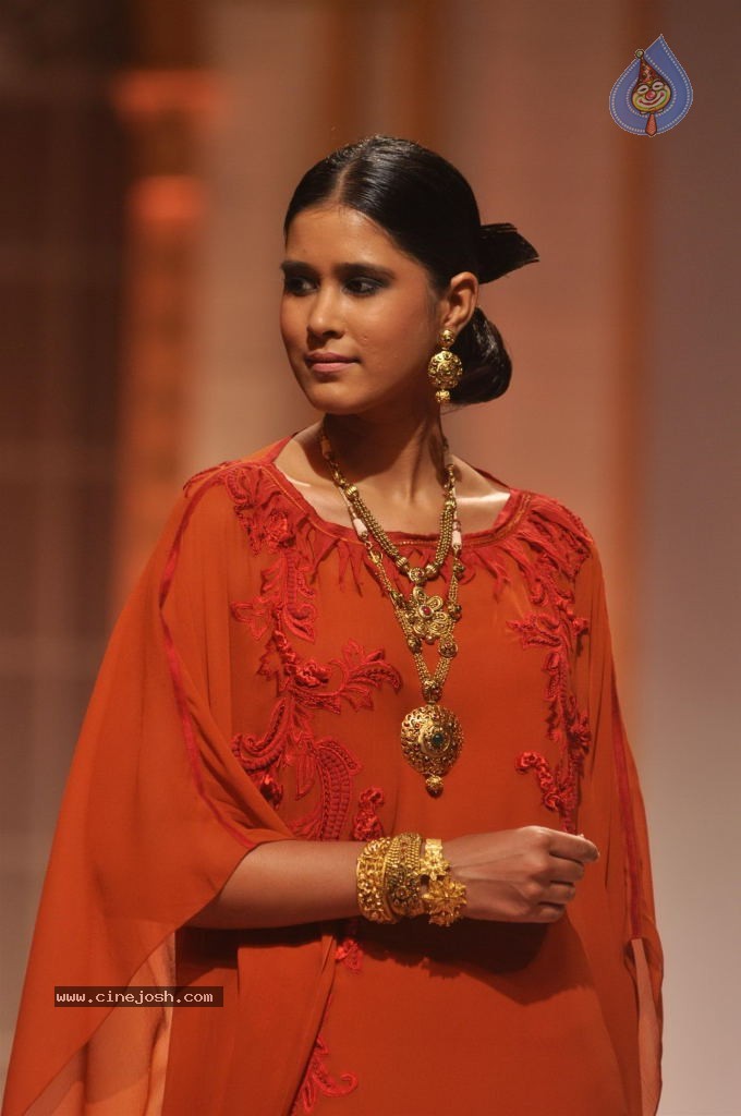 Celebs Walks the Ramp at AVIBW 2013 - 73 / 152 photos