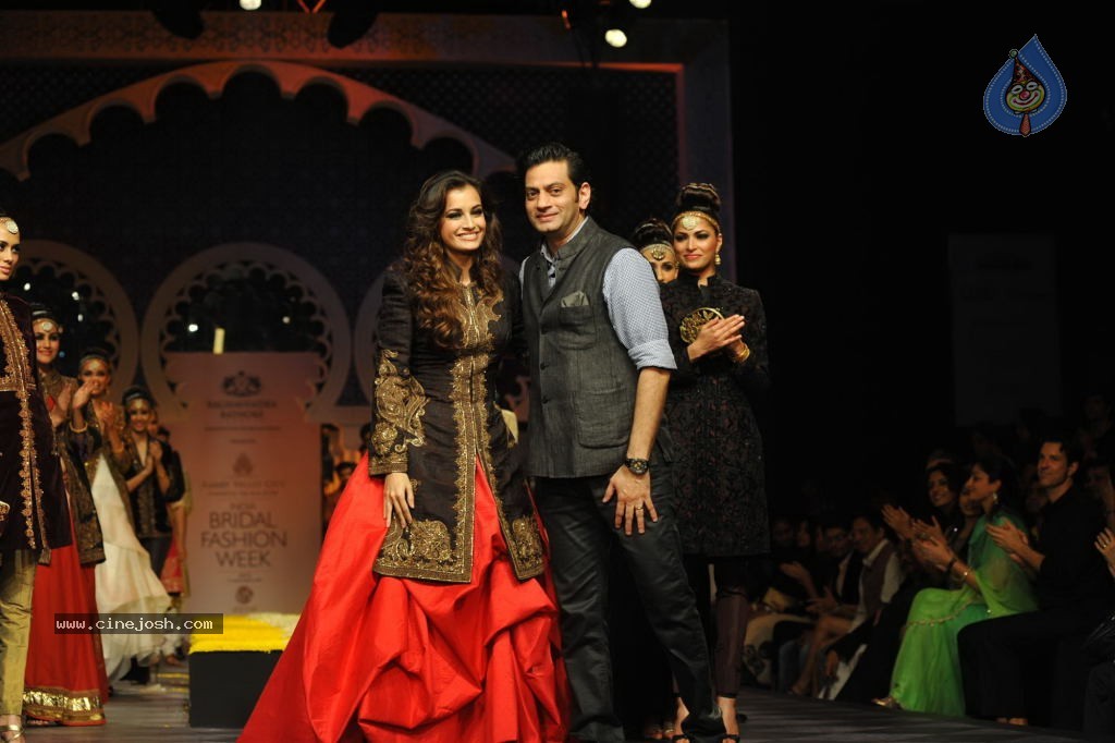 Celebs Walks the Ramp at AVIBW 2013 - 77 / 152 photos