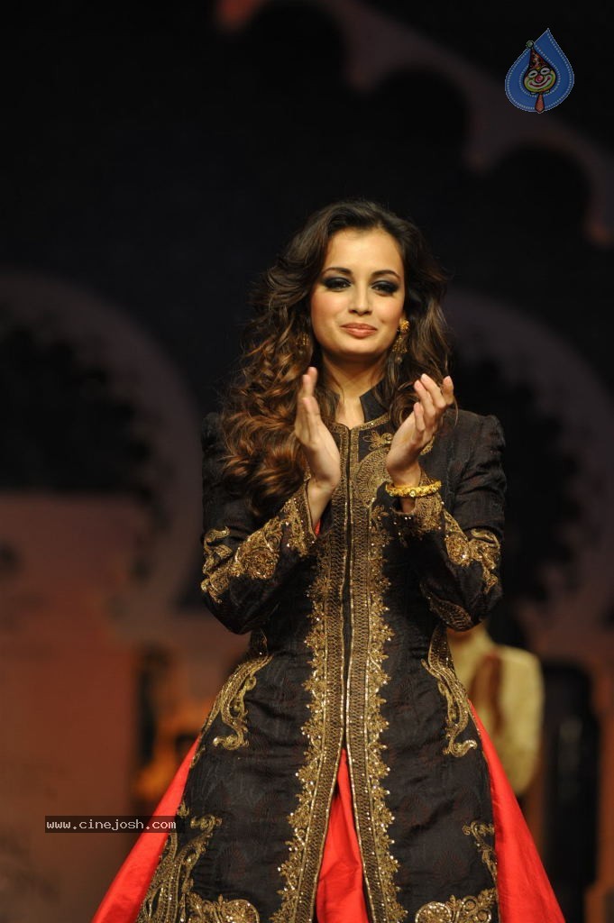 Celebs Walks the Ramp at AVIBW 2013 - 78 / 152 photos