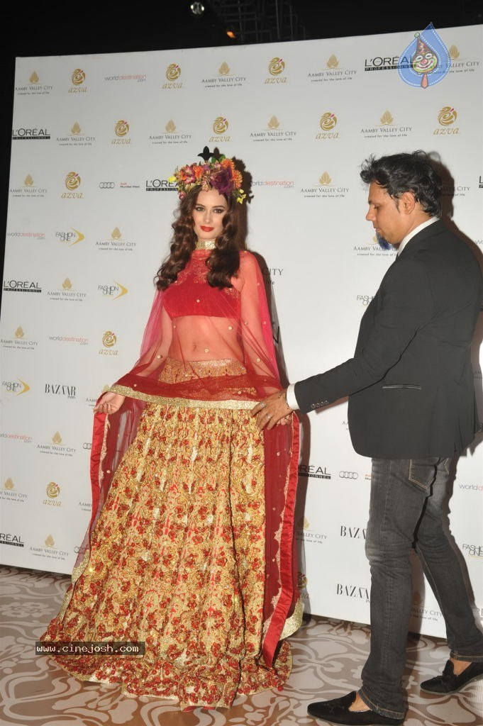 Celebs Walks the Ramp at AVIBW 2013 - 81 / 152 photos