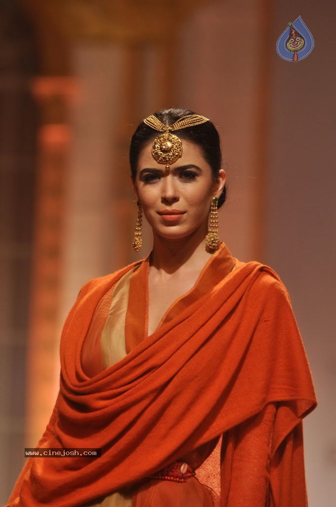 Celebs Walks the Ramp at AVIBW 2013 - 84 / 152 photos