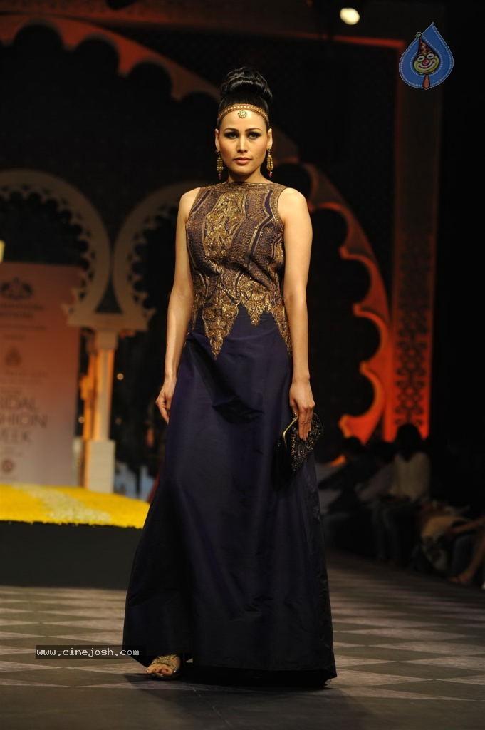 Celebs Walks the Ramp at AVIBW 2013 - 90 / 152 photos
