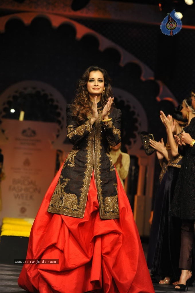 Celebs Walks the Ramp at AVIBW 2013 - 94 / 152 photos