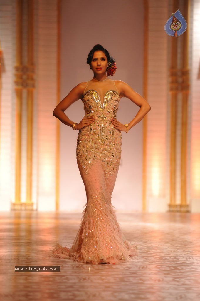 Celebs Walks the Ramp at AVIBW 2013 - 99 / 152 photos