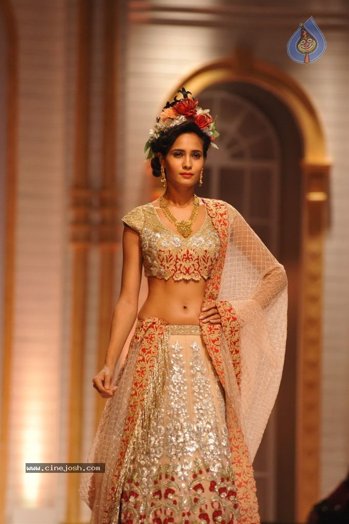 Celebs Walks the Ramp at AVIBW 2013 - 102 / 152 photos