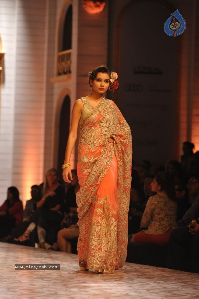 Celebs Walks the Ramp at AVIBW 2013 - 107 / 152 photos