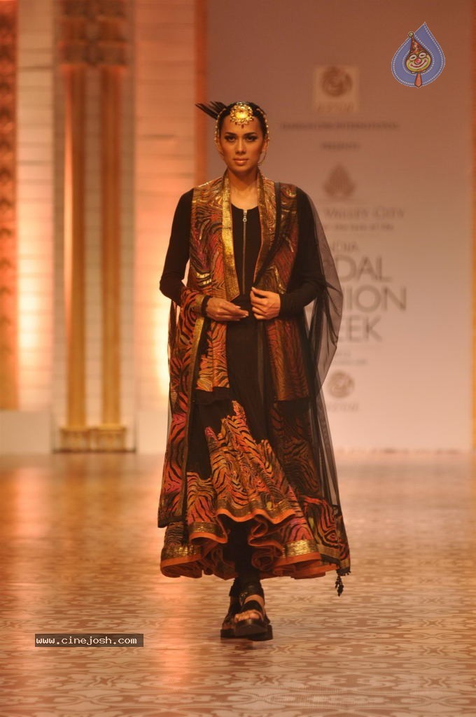 Celebs Walks the Ramp at AVIBW 2013 - 112 / 152 photos