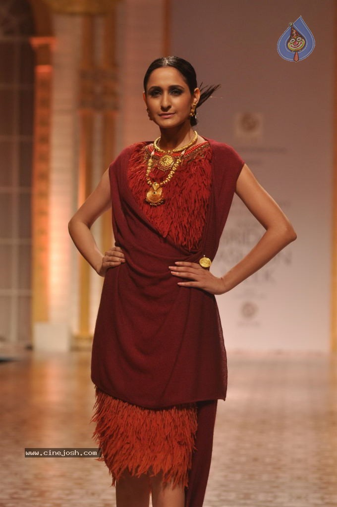 Celebs Walks the Ramp at AVIBW 2013 - 119 / 152 photos