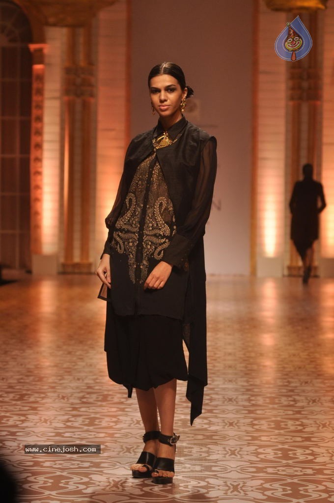 Celebs Walks the Ramp at AVIBW 2013 - 121 / 152 photos