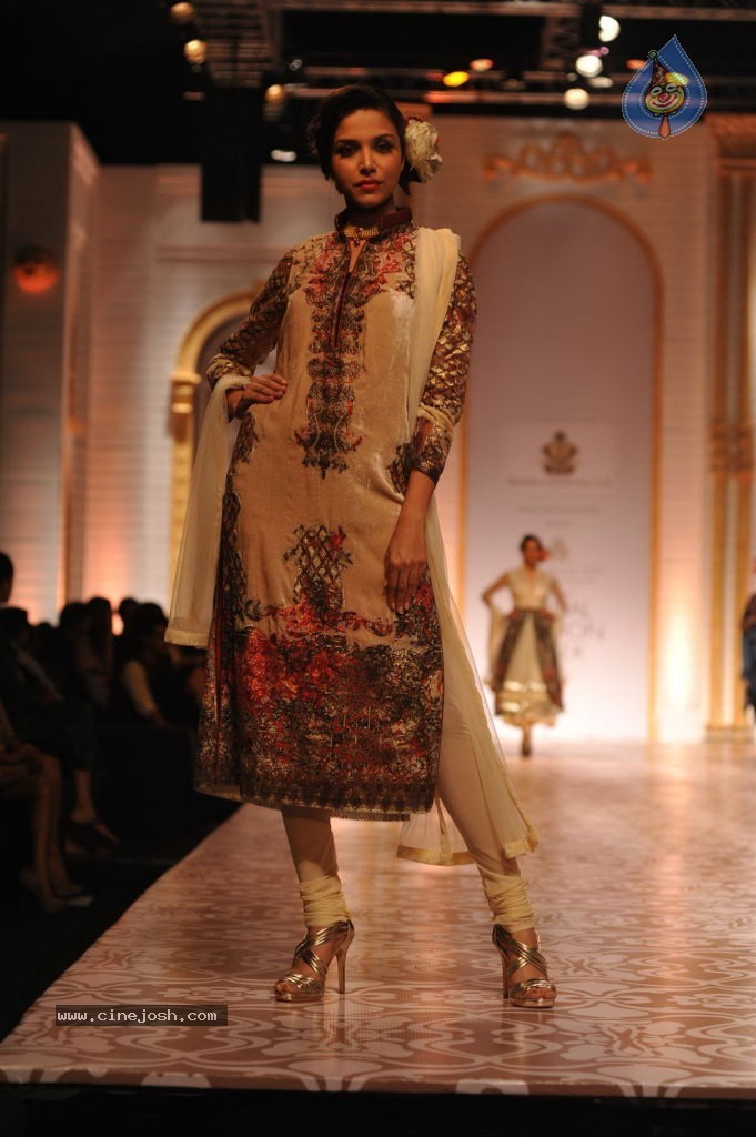 Celebs Walks the Ramp at AVIBW 2013 - 125 / 152 photos