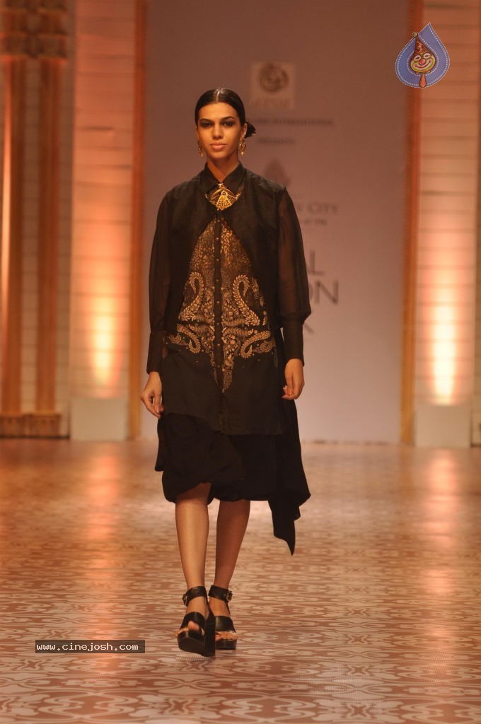 Celebs Walks the Ramp at AVIBW 2013 - 143 / 152 photos