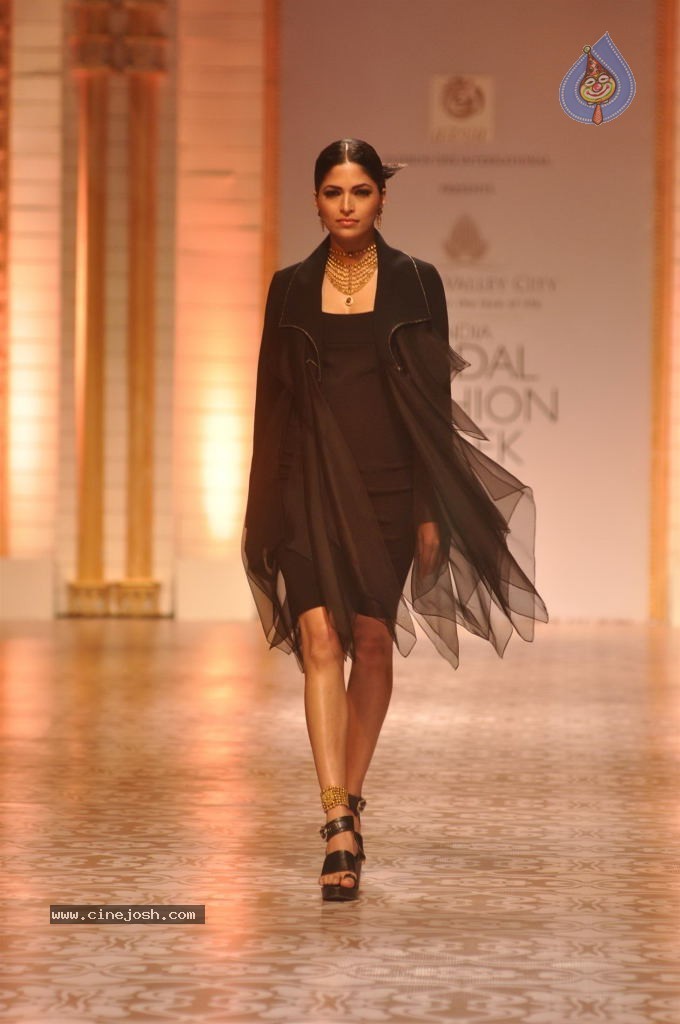 Celebs Walks the Ramp at AVIBW 2013 - 146 / 152 photos