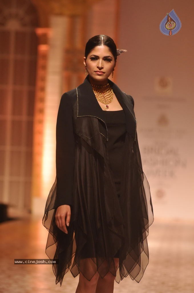 Celebs Walks the Ramp at AVIBW 2013 - 151 / 152 photos