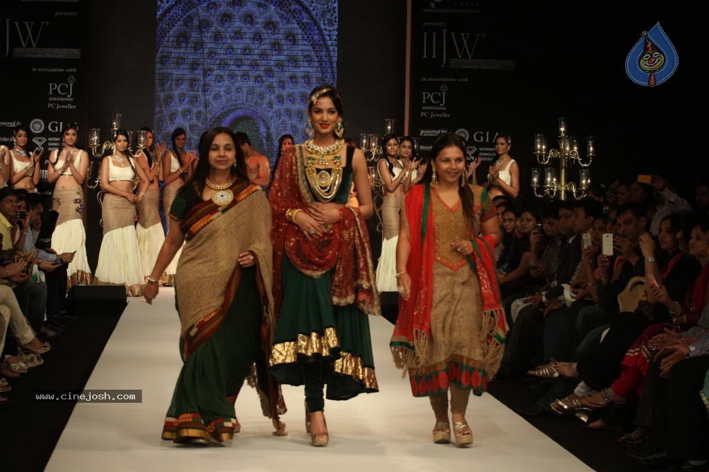 Celebs Walks the Ramp at IIJW 2012 - 10 / 297 photos