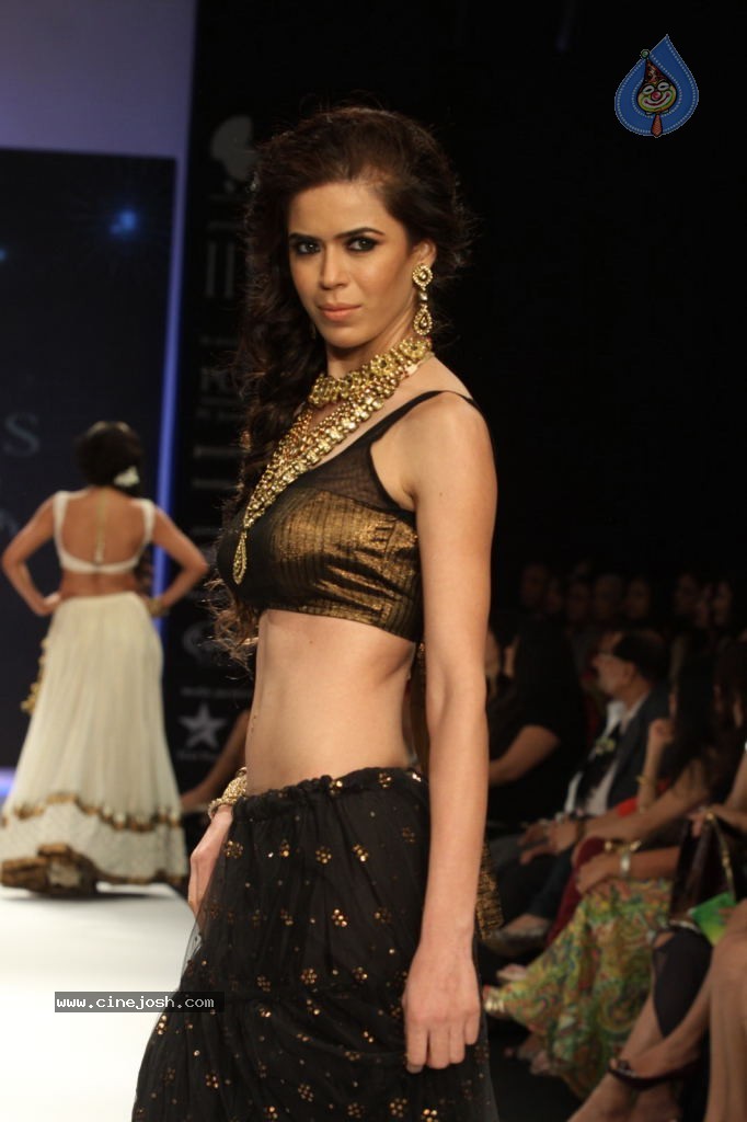 Celebs Walks the Ramp at IIJW 2012 - 12 / 297 photos