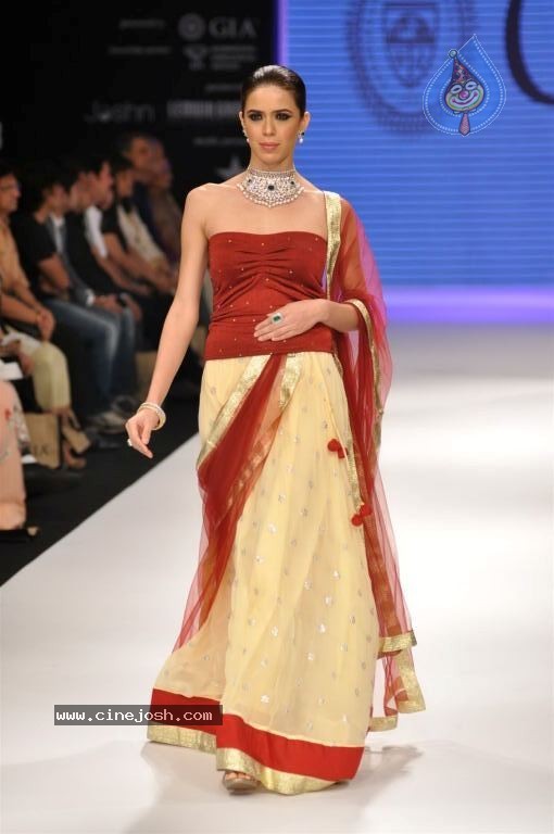 Celebs Walks the Ramp at IIJW 2012 - 25 / 297 photos