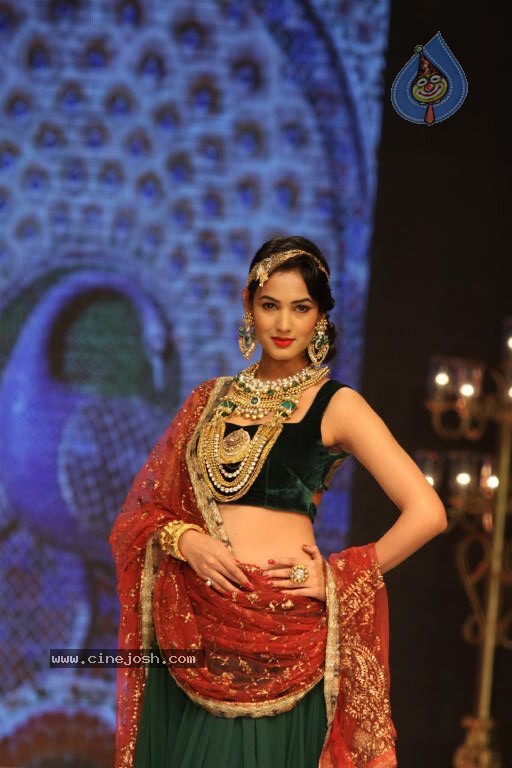 Celebs Walks the Ramp at IIJW 2012 - 32 / 297 photos