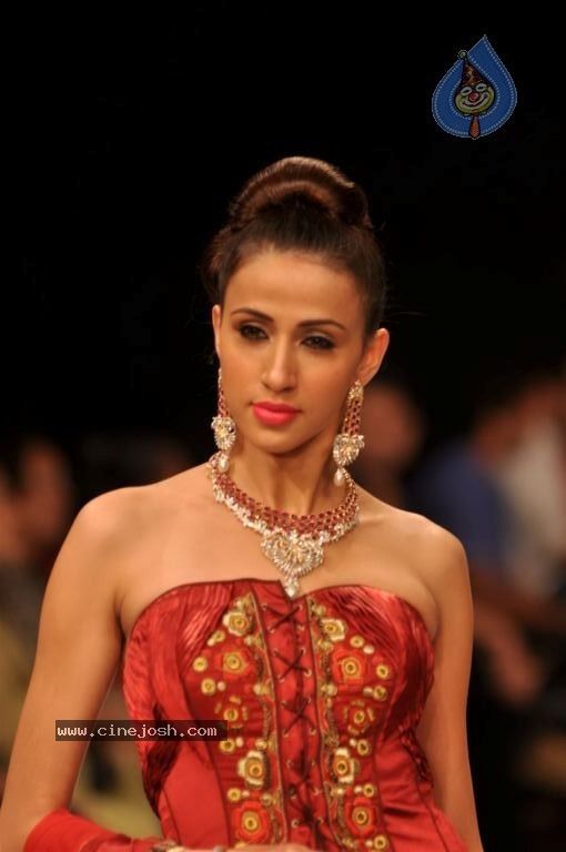 Celebs Walks the Ramp at IIJW 2012 - 36 / 297 photos