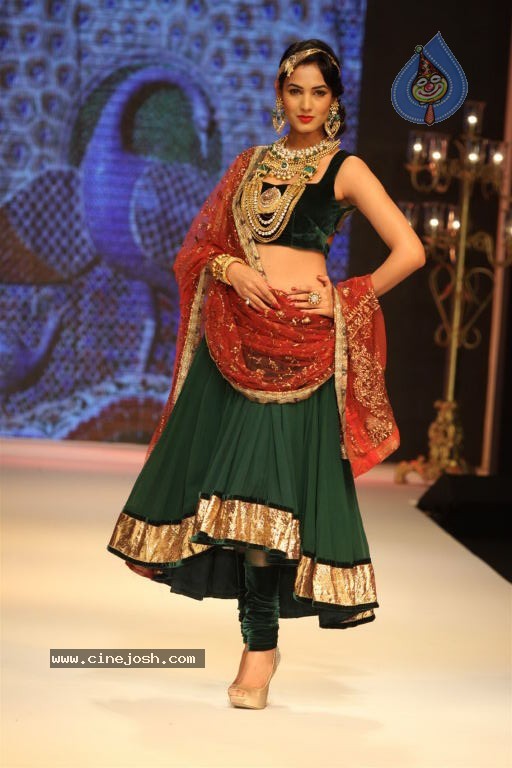 Celebs Walks the Ramp at IIJW 2012 - 43 / 297 photos