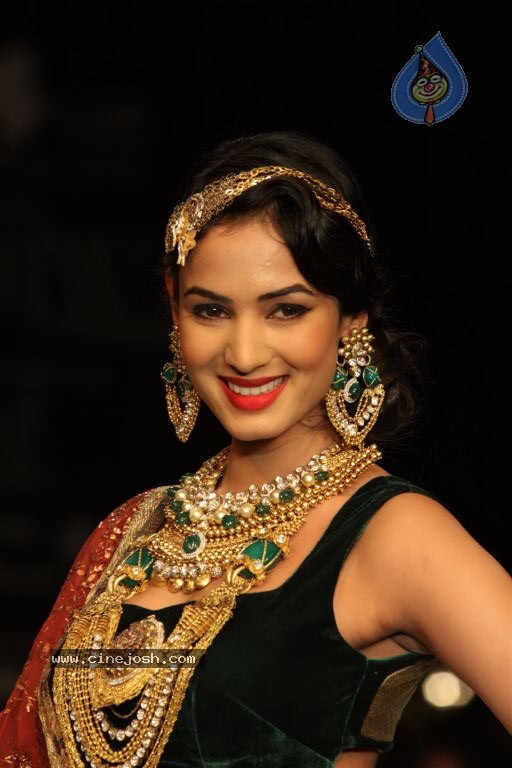 Celebs Walks the Ramp at IIJW 2012 - 46 / 297 photos