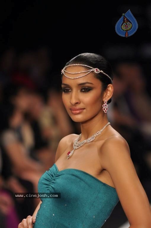 Celebs Walks the Ramp at IIJW 2012 - 47 / 297 photos