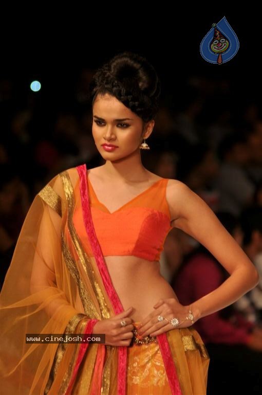 Celebs Walks the Ramp at IIJW 2012 - 54 / 297 photos